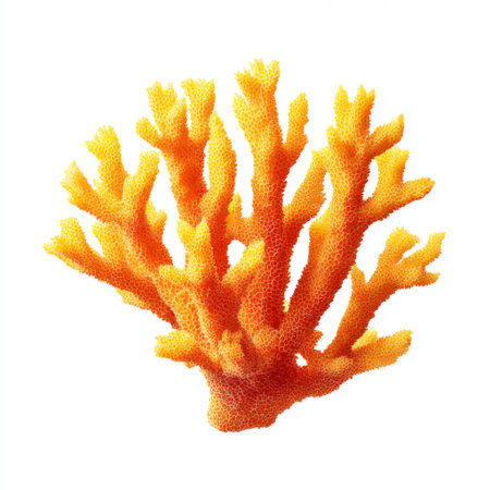 This image showcases a vibrant orange coral, highlighting the intricate textures and beauty of marine ecosystems. Ideal for ecological themes and underwater exploration.の素材