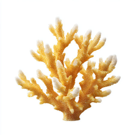 This image captures a stunning yellow coral structure, showcasing its intricate textures and unique forms found in marine environments. Ideal for illustrating ocean diversity.の素材