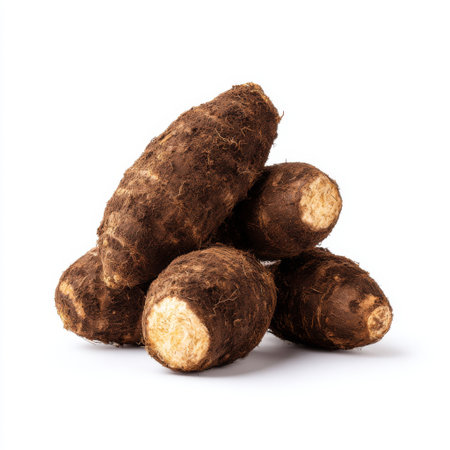 This stock photo features a pile of fresh raw sunchokes, also known as Jerusalem artichokes, on a plain white background, showcasing their unique textures and earthy colors. Perfect for highlighting healthy culinary choices and the benefits of organic produce.の素材