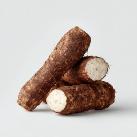 This image features fresh root vegetables stacked attractively against a neutral background, highlighting their earthy textures and colors, perfect for culinary uses.の素材