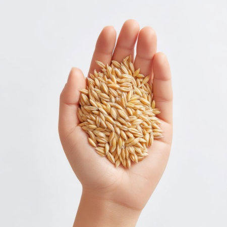 A close view of a hand holding a pile of raw oats, highlighting the grain's natural texture and color in bright lighting, perfect for healthy lifestyle projects.の素材