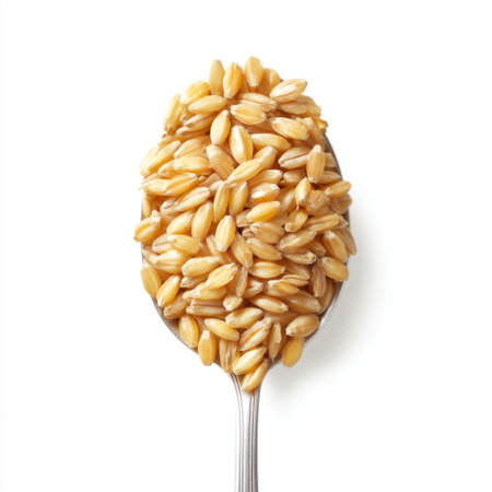 A detailed close-up image of raw barley grains presented in a silver spoon, showcasing their natural texture and color against a clean white background.の素材