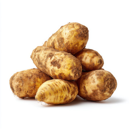 A close-up view of fresh organic roots piled atop one another against a pristine white background. Ideal for healthy food and culinary uses.の素材