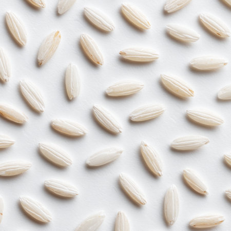 This detailed close-up image showcases raw white rice grains elegantly spread across a clean surface. Ideal for culinary and food-related projects.の素材