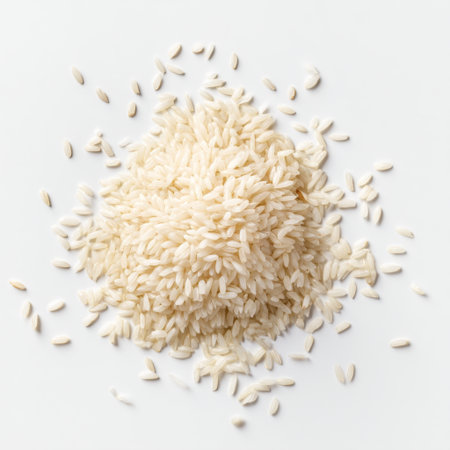 A beautiful close-up shot of raw white rice grains on a clean white background. Perfect for showcasing the texture, versatility, and culinary applications of this staple ingredient in various dishes.の素材