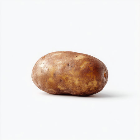 A fresh organic potato showcasing its natural brown texture and shape on a white background. Perfect for food photography, cooking ideas, and nutrition concepts.の素材