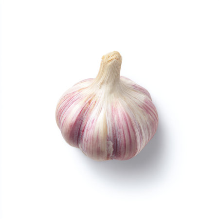 This image features a fresh garlic bulb with purple skin, isolated on a clean white background, perfect for culinary uses and health discussions.の素材