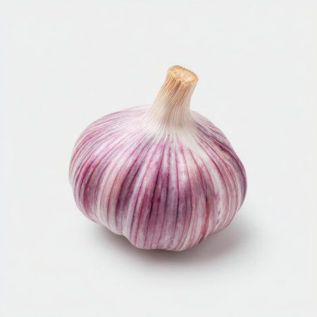 A vibrant and fresh raw garlic bulb featuring purple skin, perfect for culinary uses, healthy recipes, or food photography in a natural setting.の素材