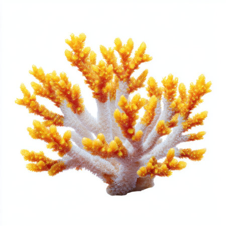 A striking display of vibrant yellow coral exhibiting extensive branching patterns, showcasing the beauty and complexity of marine ecosystems in a serene underwater setting.の素材