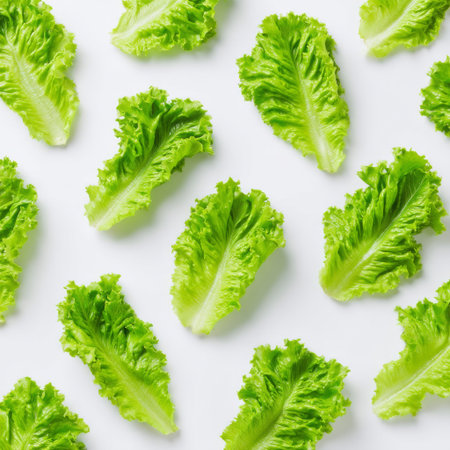 A collection of fresh green lettuce leaves showcases vibrant color and crisp texture, ideal for food styling, recipes, and promoting healthy eating habits.の素材