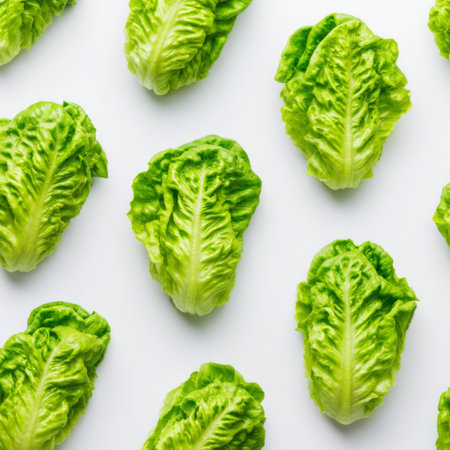 This image showcases a vibrant arrangement of fresh green lettuce leaves, perfect for healthy eating and culinary inspiration. Ideal for recipes focusing on nutritious meals.の素材