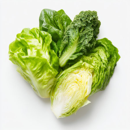 A vibrant assortment of fresh green lettuce varieties including romaine, leafy, and curly types, ideal for nutritional meals and healthy recipes.の素材