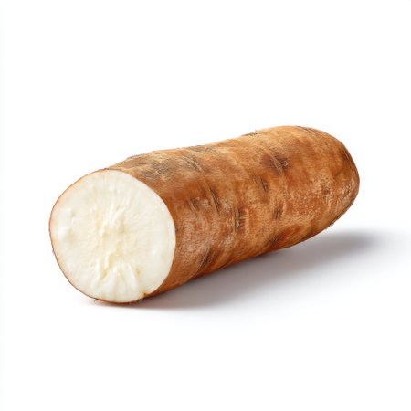 This image showcases a fresh raw yam, emphasizing its smooth skin and white flesh. Ideal for culinary use, nutrition, and healthy recipes.の素材