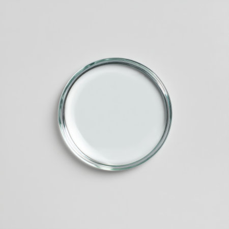 A simple and elegant clear round glass plate set against a light gray background, perfect for showcasing food items or enhancing minimalist dining decor.の素材