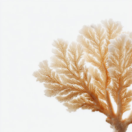 This image captures a stunning coral reef structure in a vibrant underwater scene, showcasing intricate details and beautiful sunlight filtering through the water.の素材