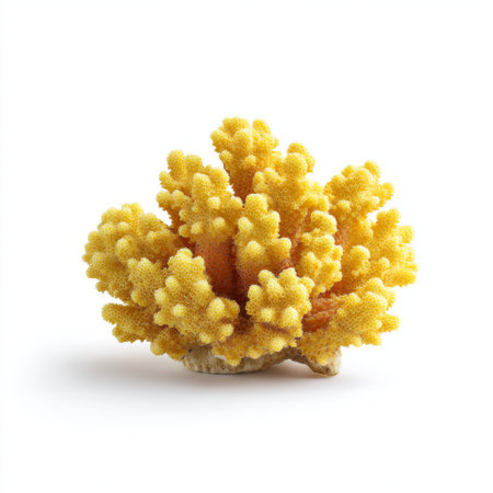 This vibrant yellow coral structure showcases intricate details and textures, perfect for illustrating marine life, ocean ecosystems, and biodiversity initiatives.の素材