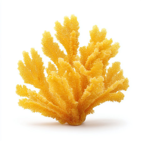 This vibrant yellow coral displays intricate structures, perfect for illustrating marine life and promoting ocean conservation. A striking addition to educational materials.の素材