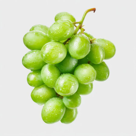 This image showcases a cluster of fresh green grapes with water droplets, perfect for illustrating healthy eating, freshness, and nutrition in food-related contexts.の素材