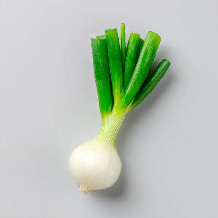 A fresh green onion with bright green stalks and a round white bulb, perfect for enhancing dishes in culinary creations and health-focused meals.の素材