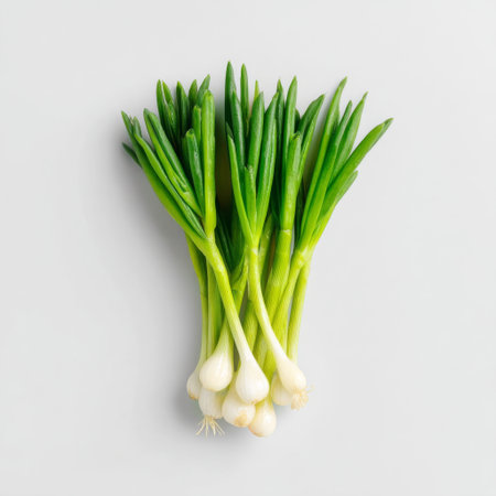 A vibrant bunch of fresh green onions arranged aesthetically on a light background, perfect for culinary inspiration and healthy eating.の素材