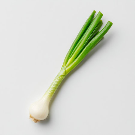 A fresh green onion with a white bulb stands out against a gray background, making it an ideal choice for food photography and culinary projects.の素材
