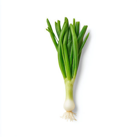 Fresh green onion with vibrant and crisp leaves, showcasing a white bulb, perfect for enhancing dishes in culinary applications and healthy recipes.の素材
