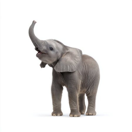 Adorable baby elephant raises its trunk in a playful pose, showcasing joy and curiosity. A perfect capture for wildlife enthusiasts and animal lovers.の素材