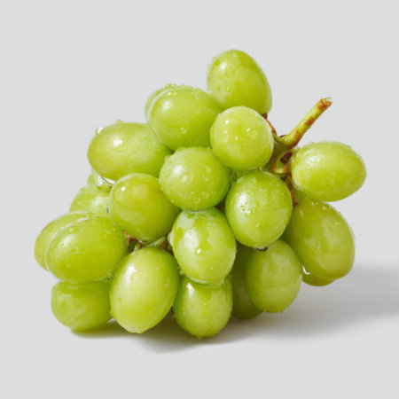 This image showcases a fresh cluster of green grapes adorned with water droplets, highlighting their juiciness and vibrant color against a soft gray backdrop.の素材