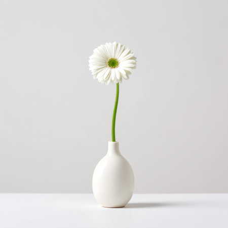 A stunning white flower elegantly positioned in a minimalist vase, creating a serene and stylish focal point for home decor and photography projects.の素材