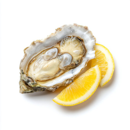 Fresh oyster showcases its natural beauty alongside vibrant lemon slices, perfect for culinary enthusiasts seeking fresh and delicious seafood options.の素材