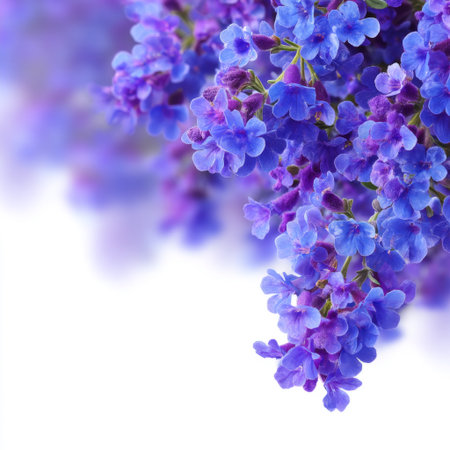 A stunning close-up image showcasing vibrant purple flowers with intricate petal details, capturing the essence of nature's colorful beauty in a soft focus.の素材