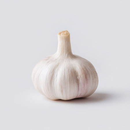 A fresh whole garlic bulb resting on a light background, perfect for culinary projects, health-related themes, or food photography aesthetics.の素材