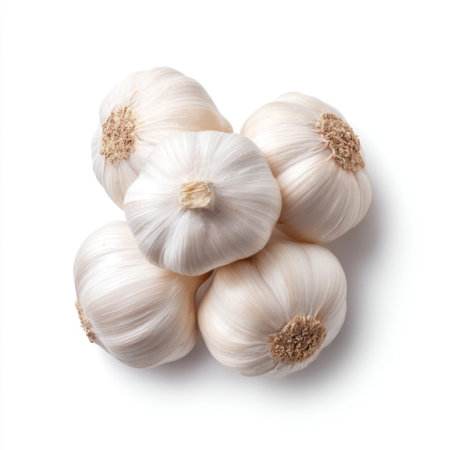 A close-up of fresh garlic bulbs carefully arranged to showcase their natural white texture and earthy appeal, perfect for culinary imagery and healthy recipes.の素材