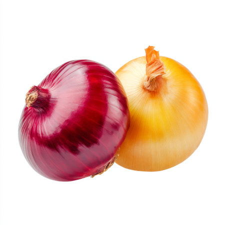 Bright red onion and yellow onion on a white background, perfect for culinary designs, food blogs, and recipe illustrations showcasing vibrant ingredients.の素材