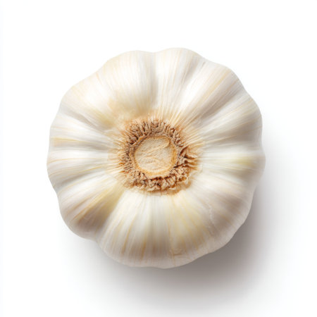 High-quality image of a fresh garlic bulb on a clean white background, ideal for culinary projects, food blogs, and healthy cooking themes.の素材