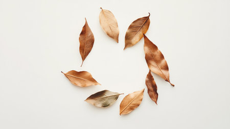 A beautiful arrangement of dried leaves forming a circle on a white background, showcasing nature's textures and warm tones, perfect for various design projects.の素材