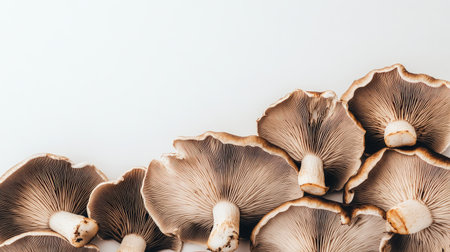This image features beautifully styled fresh mushrooms arranged with a neutral background, highlighting their unique textures and earthy tones for a vibrant culinary presentation.の素材