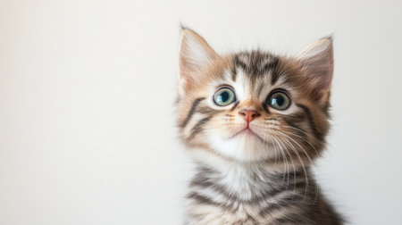 A delightful portrait of a playful kitten with large, expressive eyes and soft fur, radiating joy and curiosity against a neutral background.の素材