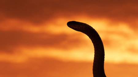 A captivating silhouette of a serpent curving against a stunning sunset backdrop. The warm orange and yellow tones create a serene atmosphere, embodying the beauty of nature.の素材