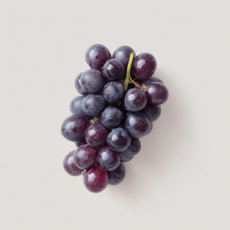 A vibrant bunch of fresh red grapes showcases their rich color and natural beauty, emphasizing health and nutrition in food photography. Perfect for dietary concepts.の素材