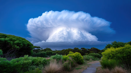 Stunning view of a towering thunderstorm cloud against a blue sky, surrounded by vibrant green foliage and a tranquil pathway, embodying nature's beauty.の素材