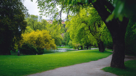 A beautiful park scene featuring a tranquil pathway surrounded by lush green trees and calm water, perfect for relaxation and enjoying nature's beauty.の素材