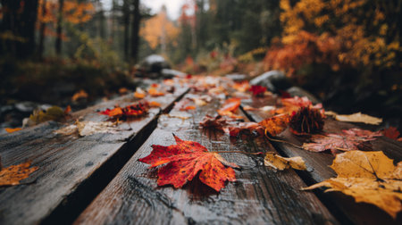 A serene autumn scene featuring vibrant leaves scattered on a wooden pathway, surrounded by a backdrop of colorful trees, evoking tranquility and natural beauty.の素材