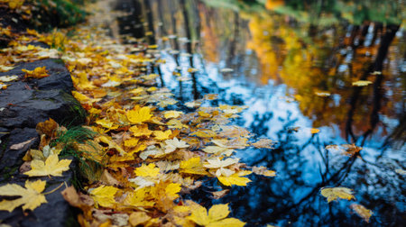 Enjoy a tranquil autumn view featuring golden maple leaves delicately resting on calm water, reflecting vibrant foliage and creating a serene natural atmosphere.の素材