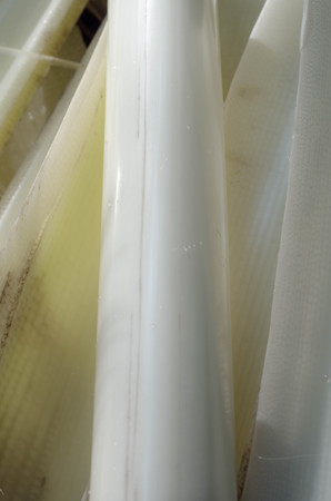 The banana stalkの写真素材