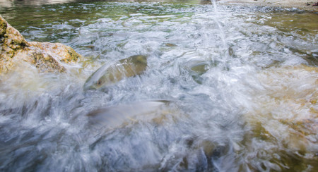 The fish is on another.の写真素材