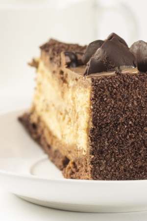 chocolate cakeの写真素材