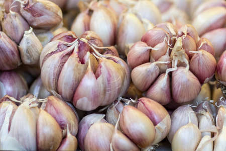 Garlic on display at the local farmers market. Farmers markets are a traditional way of selling...