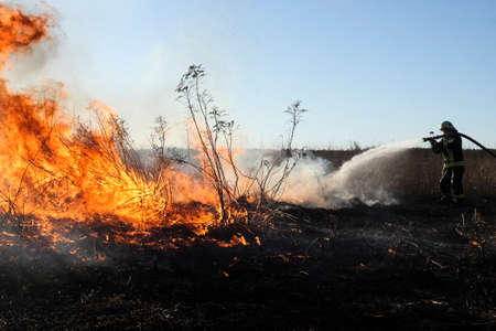 Spring fires of dry grass.の写真素材