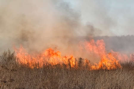 Spring fires of dry grass.の写真素材